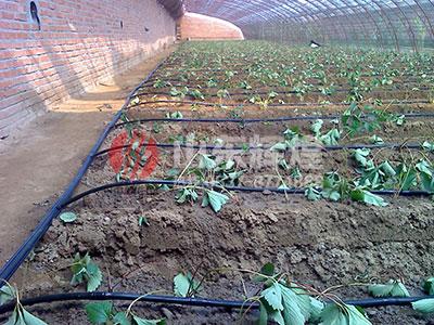 農(nóng)業(yè)灌溉用pe管有污染嗎？